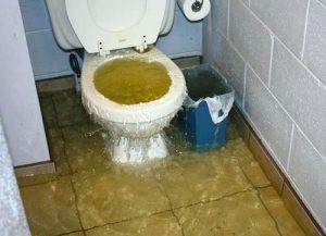 toilet clogged at dojo