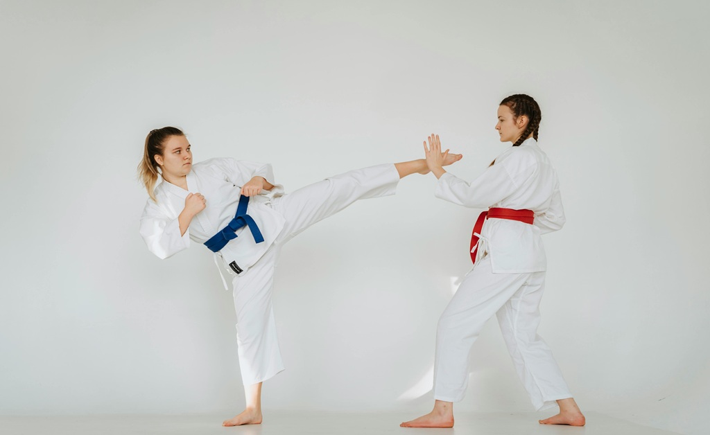Martial Arts Training Stand Out Against Competitors